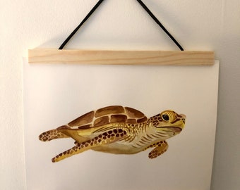 Watercolor painting Turtle