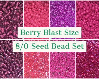 Berry Blast Size 8/0 Seed Bead Color Set - 8 colors, 10g each