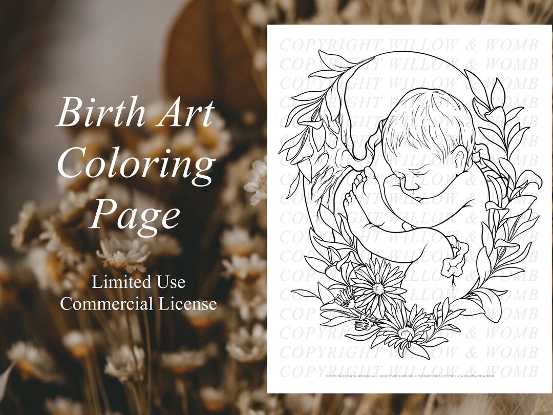 INSTANT DOWNLOAD Professional Use Coloring Page Pregnancy, Fetus, Adult