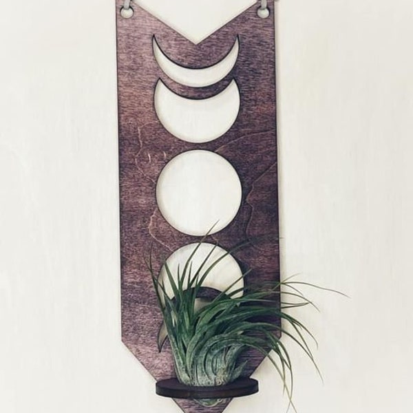 Digital File only!!! Moon Phase Air Plant Holder
