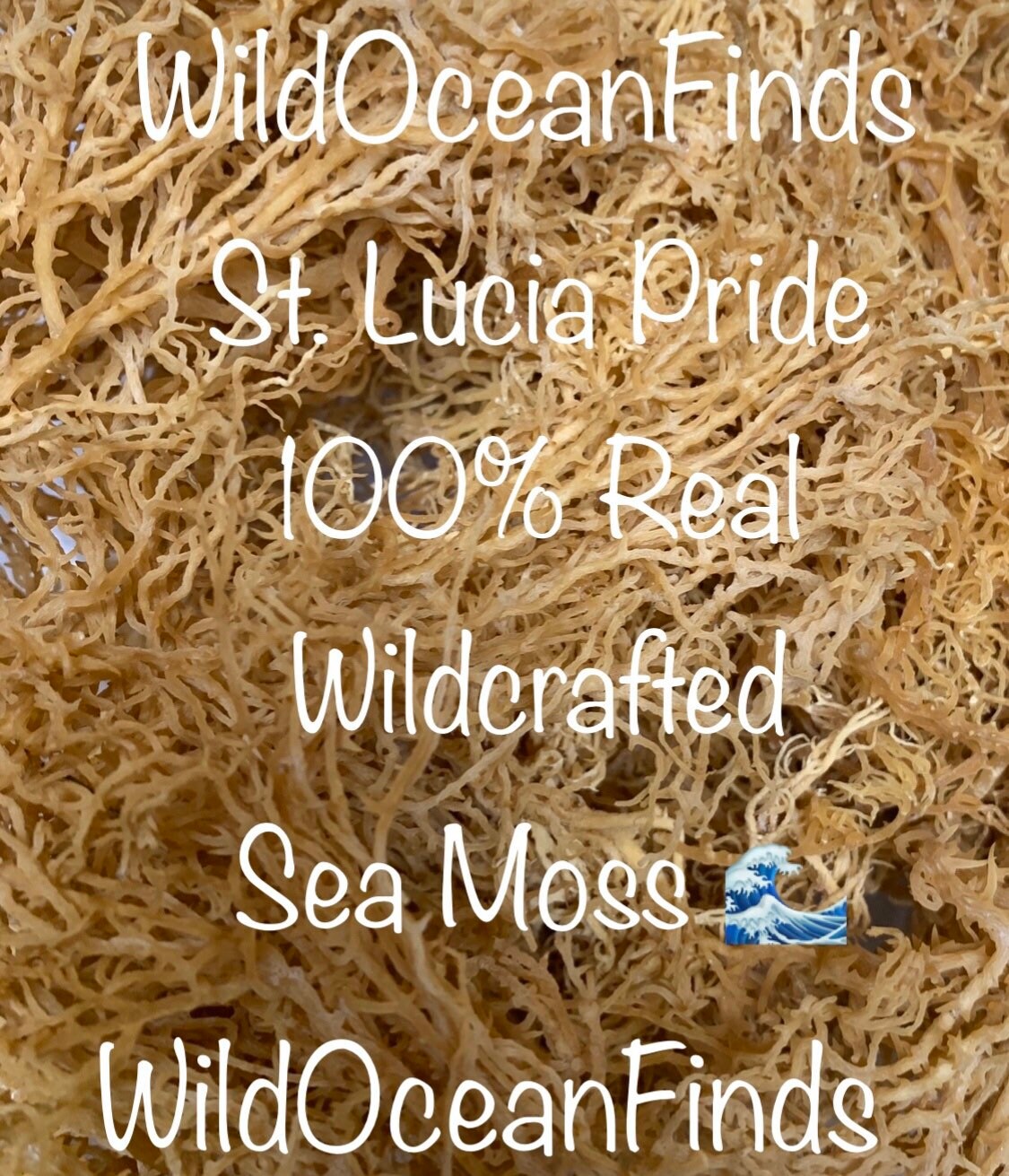 Dr Sebi Quality Wildcrafted Sea Moss Buy 2 Get 1 Free St Etsy Belgie Dr Sebi Quality Wildcrafted Sea Moss Buy 2 Get 1 Free St Etsy Belgie