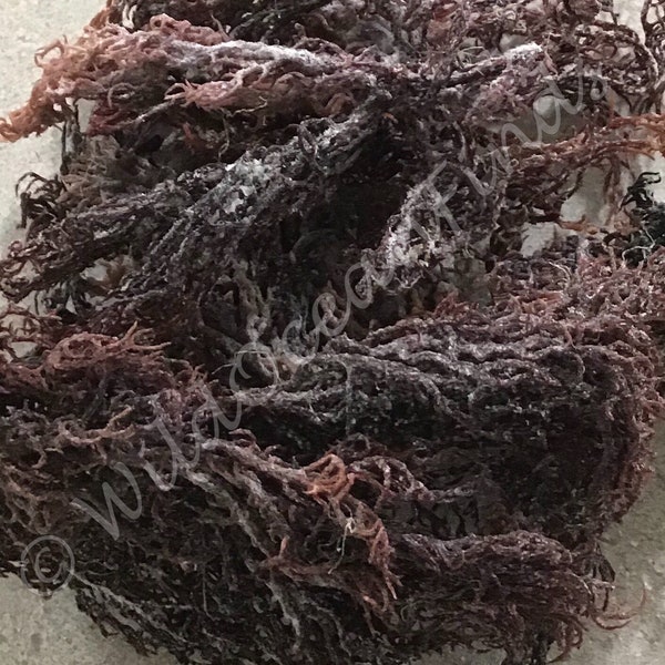 St Lucia Purple Sea Moss Wildcrafted