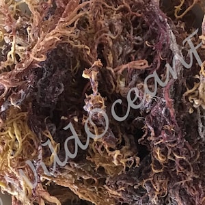 St Lucia Purple and Gold Sea Moss Dry St Lucia Pride WILDCRAFTED 100% Real Seamoss
