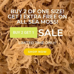 Wildcrafted Sea Moss BUY 2 GET 1 FREE Bulk Ocean Grown 100% Raw Irish Moss #seamoss Chondrus Crispus