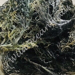 RARE St Lucia GREEN Sea Moss Dry St Lucia Pride WILDCRAFTED 100% Real Seamoss