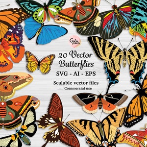 Vintage Schmetterling Clipart: 20 Vektor Motten Illustrationen (SVG AI EPS)