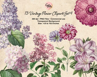 13 Botanical Illustrations, hydrangea, Tulip, Lilac Flower PNG Design elements, Instant download, Vintage Floral Illustration Clip art