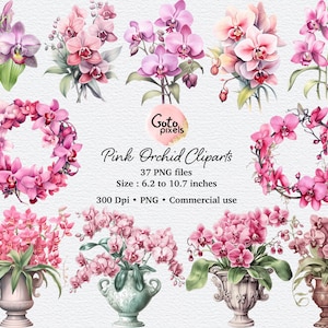Watercolor Pink Orchid Clipart - spring floral PNG format instant download for commercial use