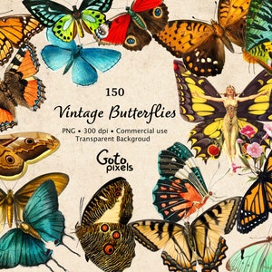 150 Vintage Butterflies, vintage butterfly clipart, Vintage Moth Clipart,digital moth illustrations PNG graphics, scrapbook embellishments