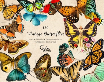 150 mariposas vintage, clipart de mariposa vintage, vintage Moth Clipart, ilustraciones digitales de polillas GRÁFICOS PNG, adornos de álbumes de recortes