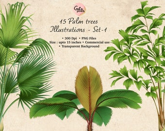May include: A set of 15 digital illustrations of palm trees. The illustrations are in a vintage style and feature a variety of palm tree species. The illustrations are 300 DPI and are available in PNG format. The illustrations are perfect for use in a variety of creative projects, such as scrapbooking, card making, and digital design.