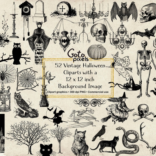 Vintage Halloween Clipart, antike Halloween ClipArt Grafiken, Schädel, Fledermäuse, Eulen, Spinnen, Hexen, Vintage Ephemera sofortiger Download