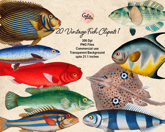 Fish Clipart, Fishing Clipart, Nautical Clipart, Fish Digital