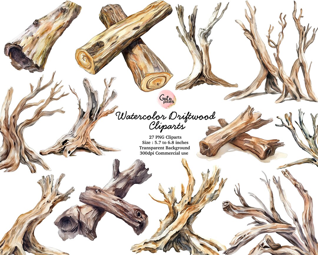 Watercolor Driftwood Clipart, Beach and Nature, PNG Format Instant ...