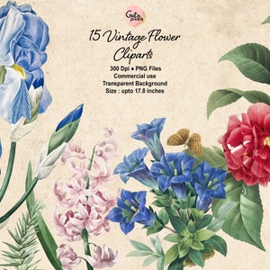15 ヴィンテージ ローズ、アイリス、スイートピー、マグノリア、ヒヤシンス 青い花 花のイラスト 花のクリップアート 植物のイラスト デジタルダウンロード