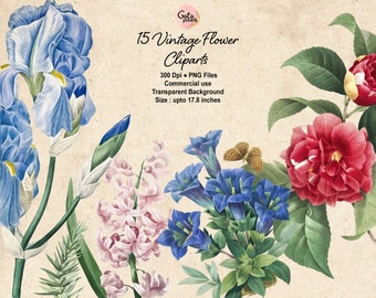 Clipart di fiori vintage: illustrazioni botaniche - NON AI - (Download digitale)