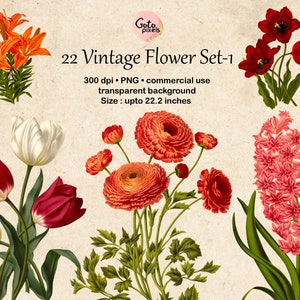 22 の花のクリップアート、植物のイラスト、デザイン要素、即時ダウンロード、ヴィンテージの花のイラスト チューリップ 水仙 クリップアート 166-set-1