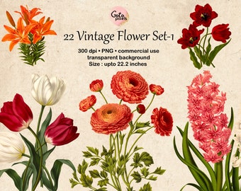 22 Flower ClipArt, Botanical Illustrations, Design elements, Instant download, Vintage Floral Illustration Tulip Daffodil Clip art 166-set-1