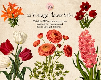22 ClipArt de flores, Ilustraciones botánicas, Elementos de diseño, Descarga instantánea, Ilustración floral vintage Tulipán Narciso Clip Art 166-set-1