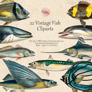 Vis Clipart, Vissen Clipart, Nautische Clipart, Vis Digitale Download, Vintage Nautische Vis Illustratie Oceaan Clipart Kleurrijke Vissen PNG