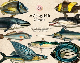 Vintage Fish Clipart: Nautical Illustrations, Colorful Ocean PNG - NOT AI - (Digital Download)