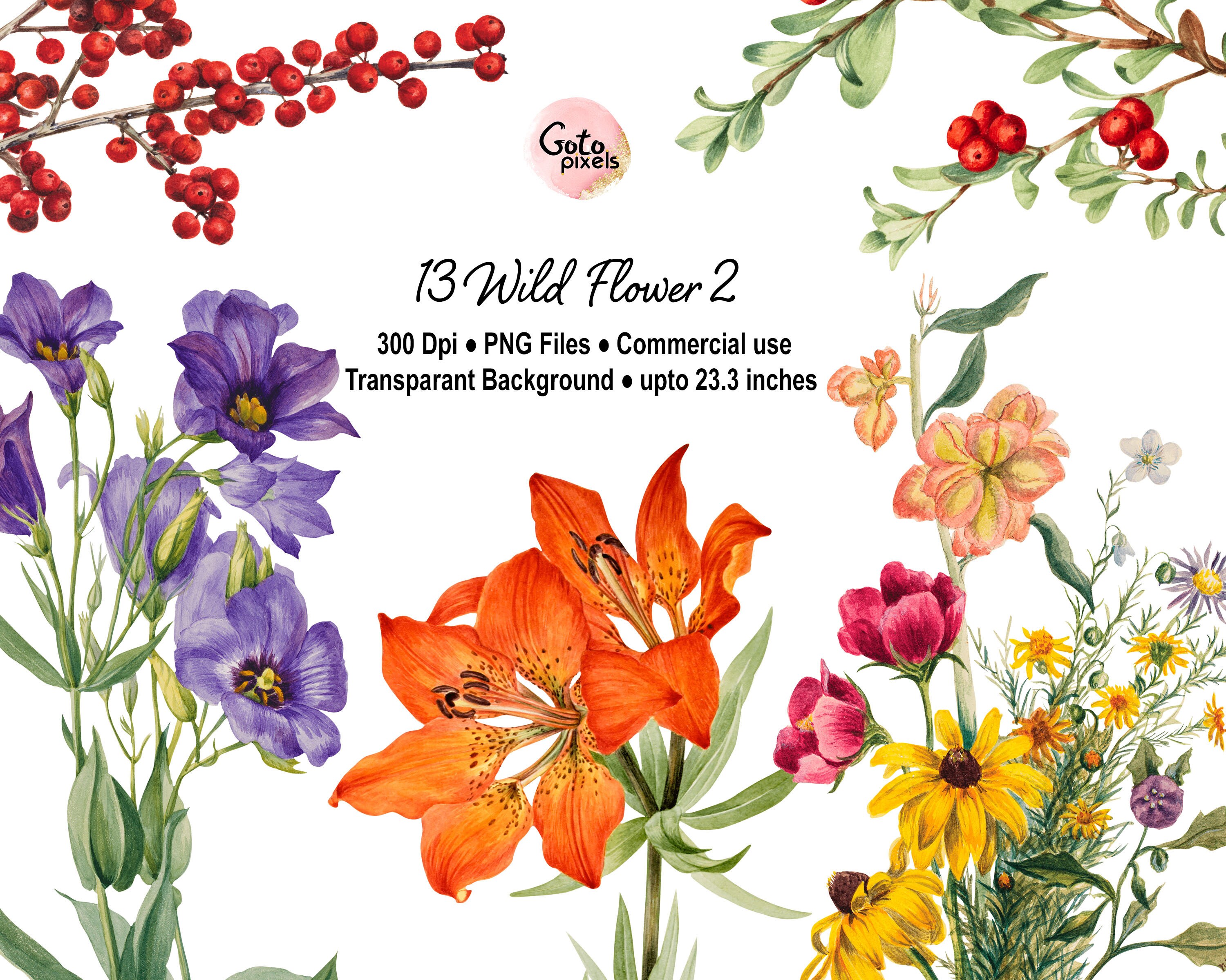 Acuarela Flores Silvestres y Plantas Clipart, Ilustraciones Botánicas,Elementos florales, Invitación de boda PNG Descarga instantánea 127-SET-2