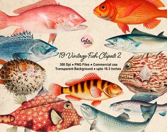 Vintage Fish Clipart: Colorful Nautical Illustrations (PNG Digital Download)