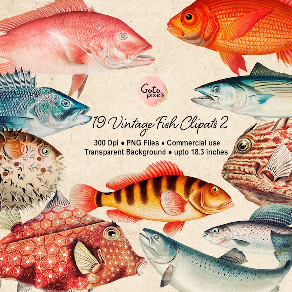 Fish Clipart, Fishing Clipart, Nautical Clipart, Fish Digital Download, Vintage Nautical Fish Illustration Ocean Clipart Colorful Fish PNG