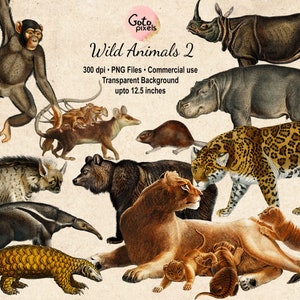 27 Vintage Wild Animal PNG Afbeeldingen Set 2 Digitale Download Afdrukbare Illustraties voor Collages, Uitnodigingen, Decoupage, Wall Art Prints