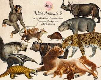 Vintage Wild Animal Illustrations: PNG Clipart Set - NOT AI - (Digital Download)