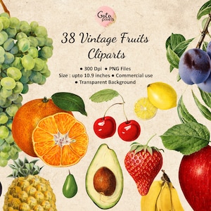 Vintage FRUITS Clipart, Digital Download PNG Fruits Vintage Images Clip Art Fruits, Fondo transparente