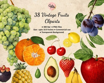 Vintage Fruits Clipart: 38 PNG Images, Transparent Background - NOT AI -(Digital Download)