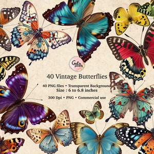 40 borboletas vintage, clipart de borboleta vintage, clipart de mariposa vintage, ilustrações digitais de mariposa, gráficos PNG, enfeites de álbum de recortes