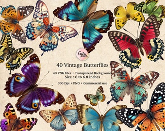 40 mariposas vintage, imágenes prediseñadas de mariposas vintage, imágenes prediseñadas de polillas vintage, ilustraciones de polillas digitales, gráficos PNG, adornos de álbumes de recortes