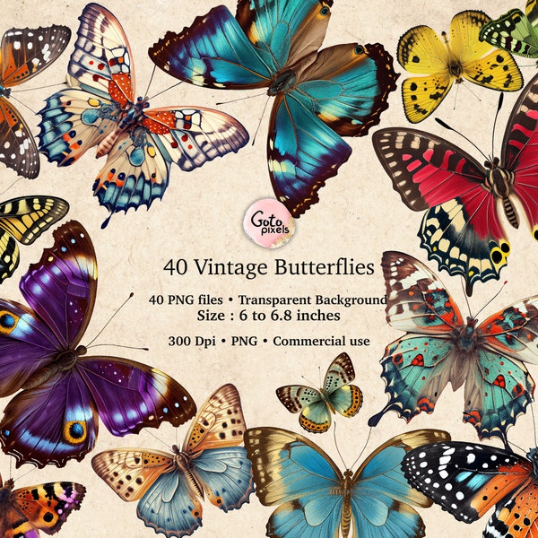 40 Vintage Butterflies, vintage butterfly clipart, Vintage Moth Clipart,digital moth illustrations PNG graphics, scrapbook embellishments