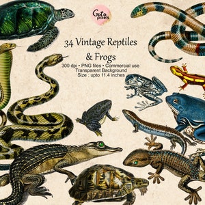 34 Vintage Répteis Cliparts, Vintage Frog clipart, Vintage Snake Digital Clip Art Jacaré Tartaruga Lagartos Uso comercial download digital