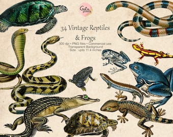 34 Vintage Reptiles Cliparts, Vintage Frog clipart, Vintage Snake Digital Clip Art Alligator Turtle Lizards Commercial use digital download