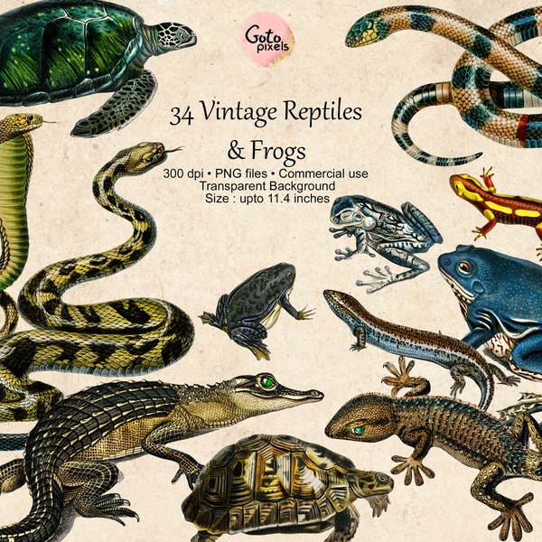 34 Vintage Reptiles Cliparts, Vintage Frog clipart, Vintage Snake Digital Clip Art Alligator Turtle Lizards Commercial use digital download