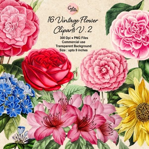 16 の花のクリップアート、植物のイラスト、デザイン要素、即時ダウンロード、ヴィンテージの花のイラスト バラ ひまわり クリップアート 110
