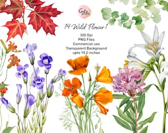 Clipart di fiori selvatici ad acquerello: Set di illustrazioni botaniche - NON AI - (Download digitale PNG)