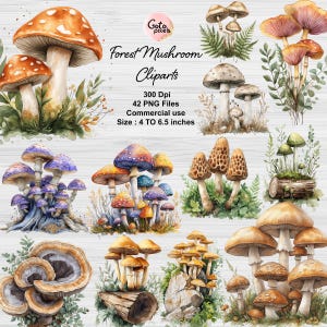 Aquarelle champignon clipart - forêt champignon vénéneux clipart fichier PNG téléchargement immédiat - usage commercial