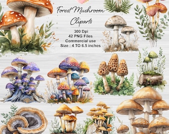 Watercolor Mushroom Clipart - Forest Toadstool Clip art PNG file Instant Download - Commercial use