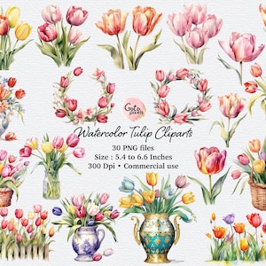 Aquarel tulpen Clip Art - PNG-formaat bloem clipart instant download voor commercieel gebruik