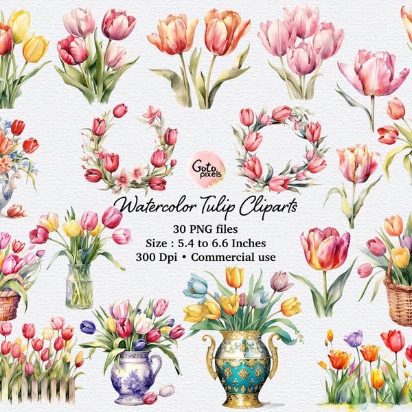 Watercolor Tulips Clip Art - PNG format flower clipart instant download for commercial use