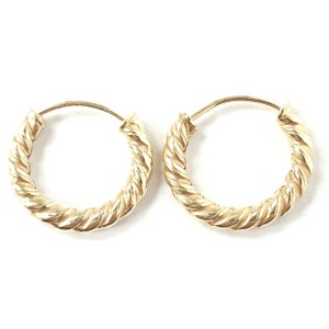 May include: A pair of gold hoop earrings with a twisted design.