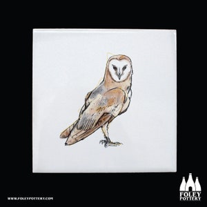B : effraie des clochers, hiboux, hibou, rapace, oiseau, nature, faune, illustré, - Carrelage décoratif en céramique