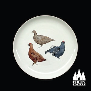 B: Grouse , Game Bird,  Birds - British bird, Wildlife - Inspired - illustrated - Fine bone China Plate