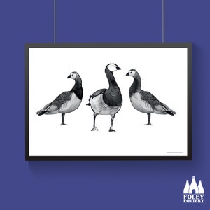 Pode incluir: Uma ilustração em preto e branco de três gansos. Os gansos estão em pé em fila, olhando para a frente. Os gansos têm pescoços longos e bicos, e seus corpos são arredondados. Os gansos são desenhados de uma maneira simples e estilizada.