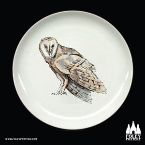 B: Barn Owl, Owl, Bird of prey, Bird, Birds, Wildlife, Nature, inspired, illustrated - Fine bone China Plate