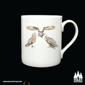 B: Lechuza común, Búho, Ave rapaz, Aves, pájaro, Vida salvaje, Inspirado, Ilustrado, - Taza de porcelana fina